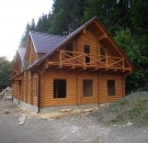 Деревяні будинки